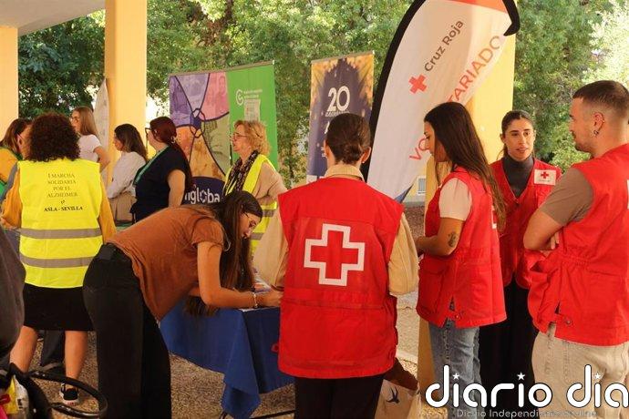 La UPO celebra en Sevilla Jornadas de Sensibilización con 50 asociaciones para acercar el voluntariado a los estudiantes