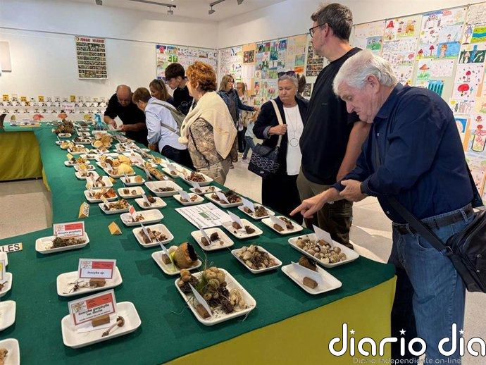 Las Jornadas Micológicas de Binéfar (Huesca) exponen 224 especies de hongos del Alto Aragón