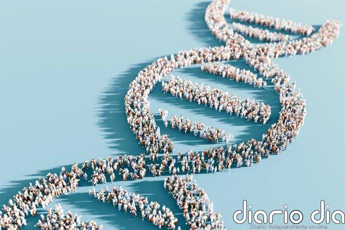 Los nuevos descubrimientos genéticos podrían ayudar a detectar la pérdida auditiva de forma más temprana