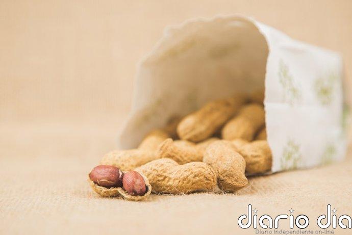 Más allá de un aperitivo: Por qué comer cacahuetes protege el cerebro (y la cantidad adecuada)