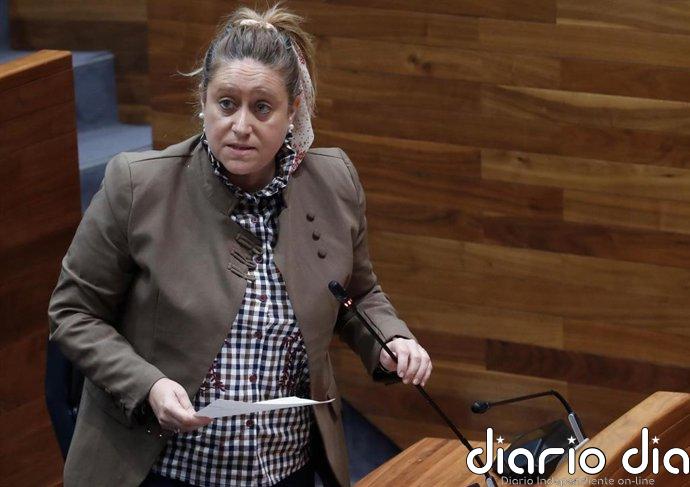 Monroy defiende en el Pleno la gestión de su consejería ante PP y Vox que hablan de "colapso, caos y propaganda"