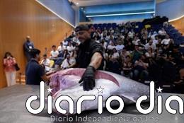 Murcia reúne a jóvenes hosteleros españoles en el III Campus Gastronómico Talento joven