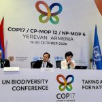 Nuevos compromisos sobre biodiversidad en la COP17, pero con déficit de financiación