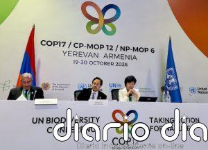 Nuevos compromisos sobre biodiversidad en la COP17, pero con déficit de financiación