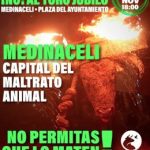 PACMA convertirá Medinaceli (Soria) en el "nuevo Tordesillas" para erradicar también el Toro Jubilo
