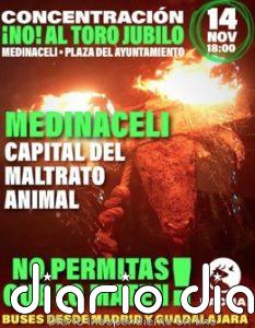 PACMA convertirá Medinaceli (Soria) en el "nuevo Tordesillas" para erradicar también el Toro Jubilo