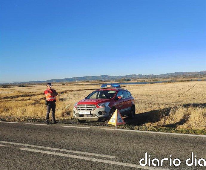 Policía Foral refuerza la seguridad vial en la NA-5330 por batidas de jabalíes en el entorno de la Laguna de Pitillas