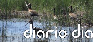 Por cada dólar en proteger la naturaleza se gastan 30 en destruirla