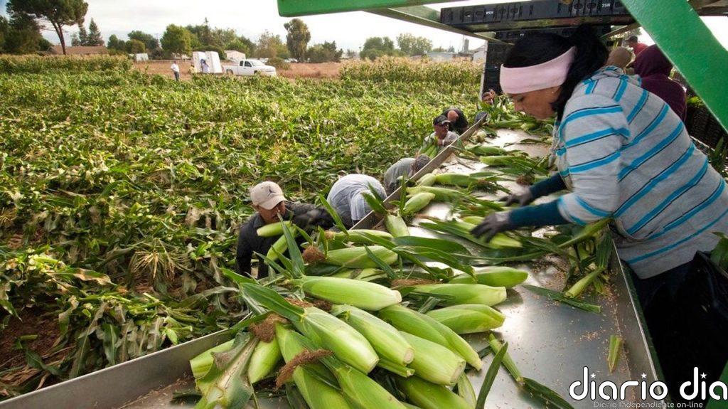Precios de los alimentos se disparan por las guerras y el clima