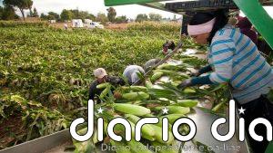 Precios de los alimentos se disparan por las guerras y el clima