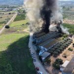 Rescatados 3.300 cerdos y cinco trabajadores de una granja en Benaguasil tras registrarse un incendio en la instalación