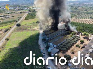 Rescatados 3.300 cerdos y cinco trabajadores de una granja en Benaguasil tras registrarse un incendio en la instalación