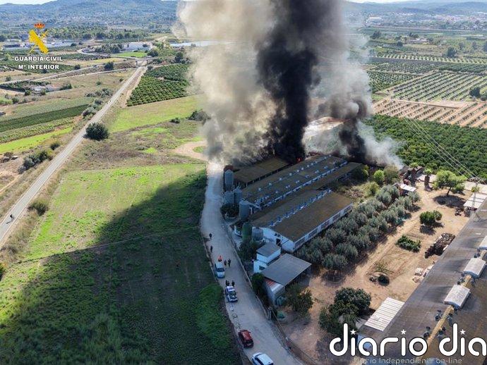 Rescatados 3.300 cerdos y cinco trabajadores de una granja en Benaguasil tras registrarse un incendio en la instalación