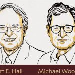 Robert E. Hall y Michael Woodford, galardonados con el Nobel de Economía