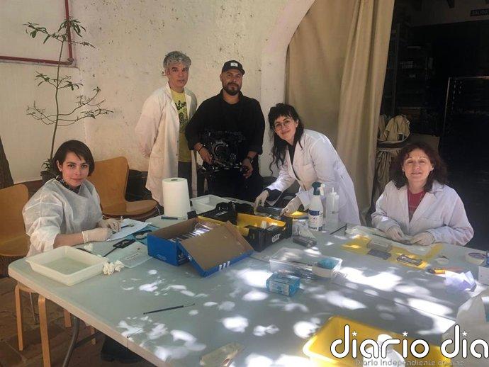 Turistas limpiarán películas caseras de familias afectadas por la dana en un proyecto solidario
