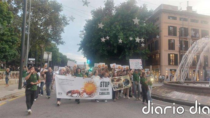 Un centenar de personas se manifiestan por Palma para reclamar el cambio de las calesas de caballos por unas eléctricas