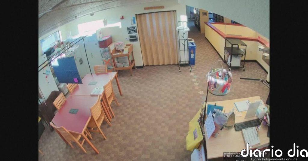 Un oso curioso 'visita' una biblioteca pública en California antes de su apertura